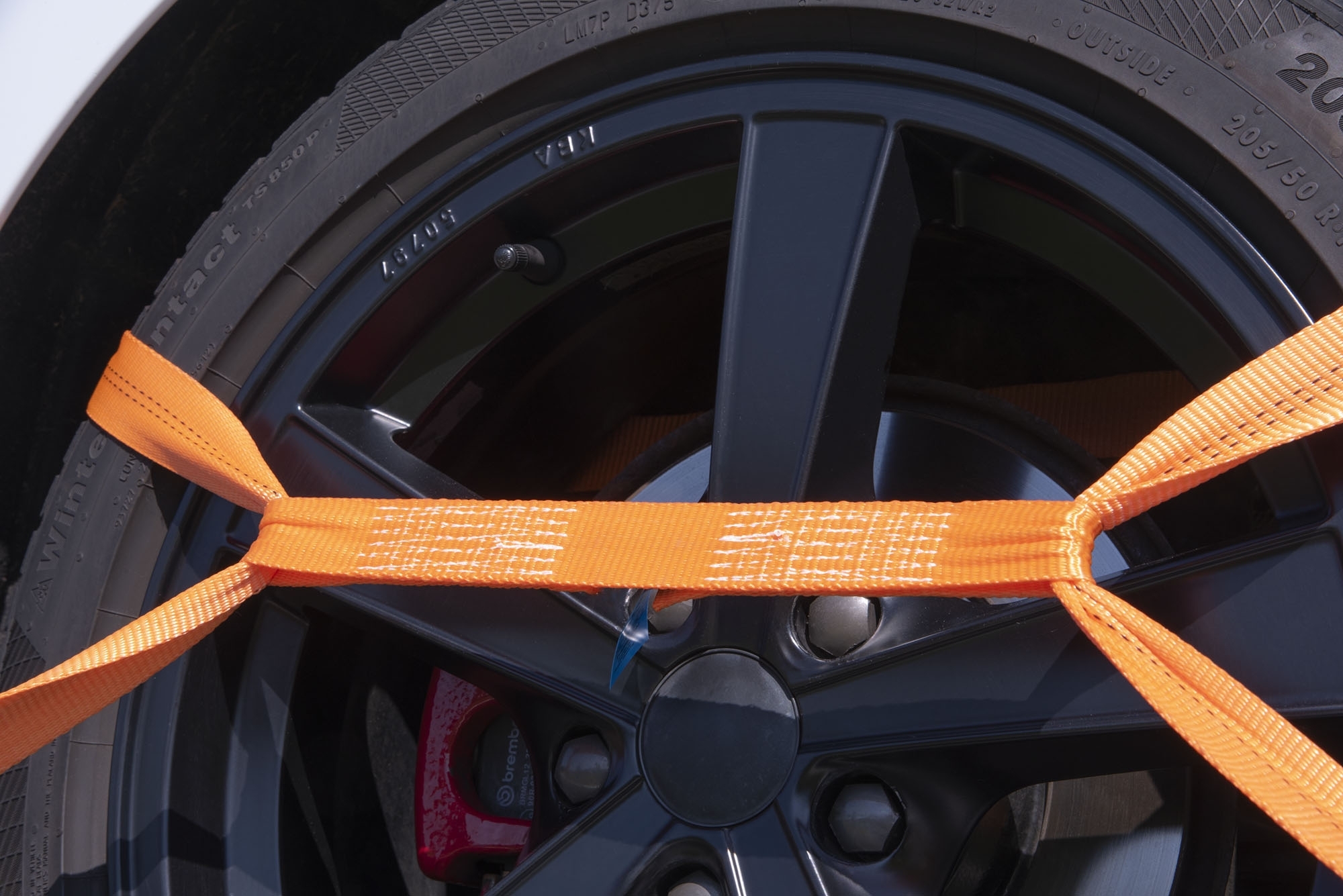Verbindungsgurt 300 mm für Car-Lashing  013000238